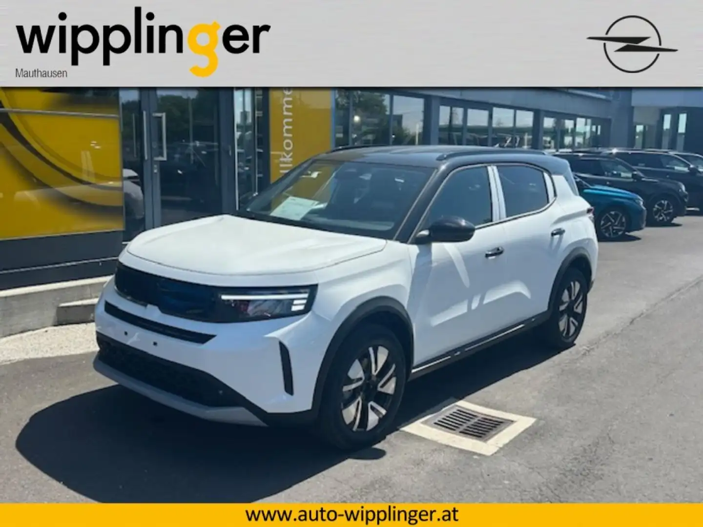 Opel Frontera e-Frontera GS 113PS AT Silber - 1