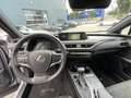 Lexus UX 250h Business Line NAVI LED KEYLESS APPLE/ANDROID 17' L Grijs - thumbnail 15