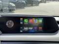 Lexus UX 250h Business Line NAVI LED KEYLESS APPLE/ANDROID 17' L Grijs - thumbnail 20