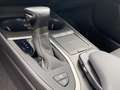 Lexus UX 250h Business Line NAVI LED KEYLESS APPLE/ANDROID 17' L Grijs - thumbnail 22