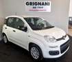 Fiat Panda Panda 1.0 FireFly S&S Hybrid Bianco - thumbnail 1