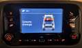 Fiat Panda Panda 1.0 FireFly S&S Hybrid Bianco - thumbnail 12
