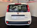 Fiat Panda Panda 1.0 FireFly S&S Hybrid Bianco - thumbnail 4