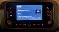 Fiat Panda Panda 1.0 FireFly S&S Hybrid Bianco - thumbnail 10