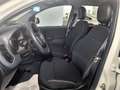 Fiat Panda Panda 1.0 FireFly S&S Hybrid Bianco - thumbnail 5