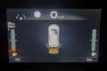 Fiat Panda Panda 1.0 FireFly S&S Hybrid Bianco - thumbnail 13