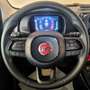 Fiat Panda Panda 1.0 FireFly S&S Hybrid Bianco - thumbnail 9