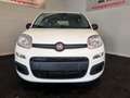 Fiat Panda Panda 1.0 FireFly S&S Hybrid Bianco - thumbnail 2