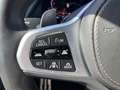 BMW X6 X6 xdrive30d mhev 48V Msport auto Albastru - thumbnail 20