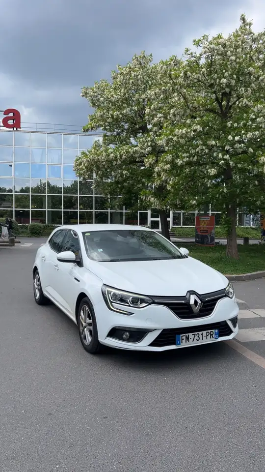 Renault Megane R.S. — photo 7