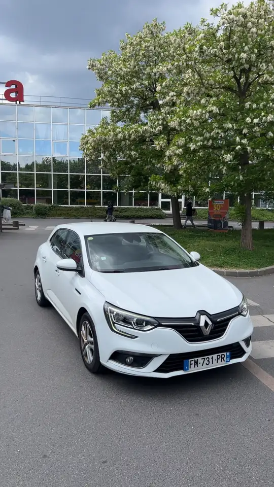 Renault Megane R.S. — photo 6