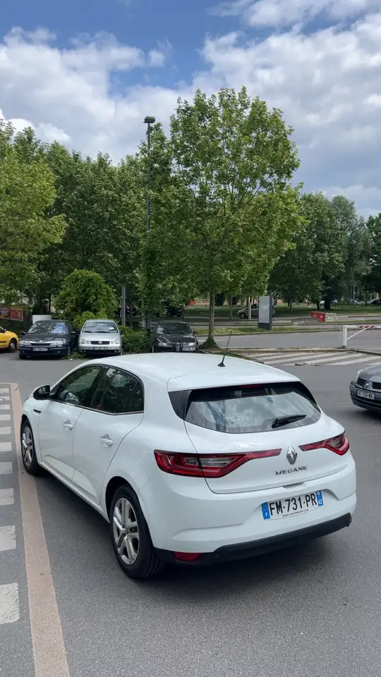 Renault Megane R.S. — photo 9