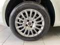 Fiat Punto Punto 1.4 8V 5 porte Natural Power Street Bianco - thumbnail 8