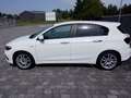Fiat Tipo Tipo 1.4 16V Easy - thumbnail 8