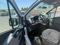 Renault Trafic Combi L2H1 2,9t  Expression,9sitzer,Klima Grau - thumbnail 10