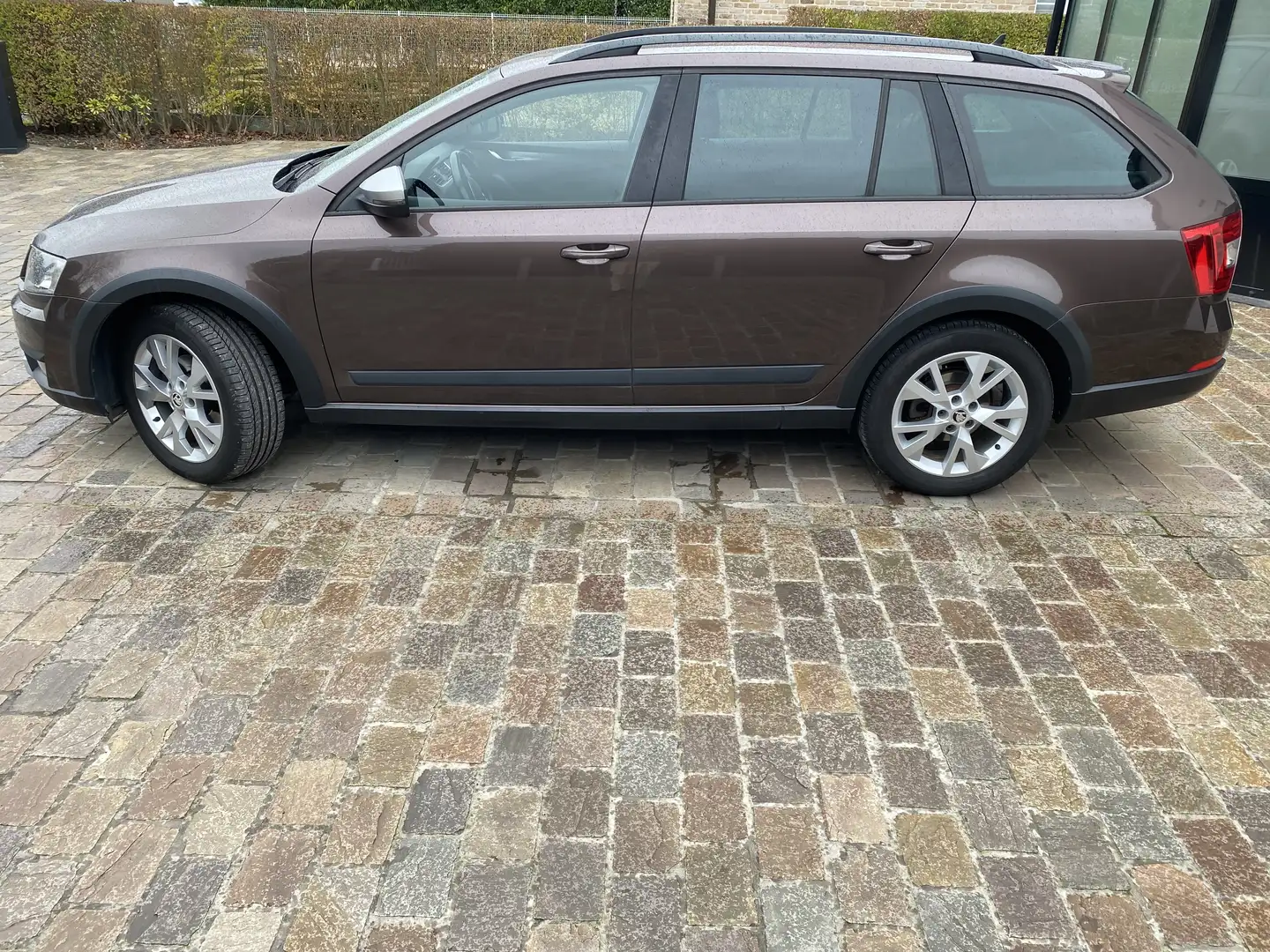 Skoda Octavia Scout - 2