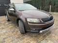 Skoda Octavia Scout - thumbnail 7