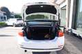 BMW 420 d Cabrio MSport Automatica Pelle Memory NaviPROLed Blanc - thumbnail 8