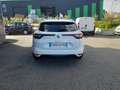 Renault Megane IV ESTATE TCe 100 Energy Zen Blanco - thumbnail 6