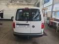 Volkswagen Caddy Kastenwagen Entry 2,0 TDI Weiß - thumbnail 21