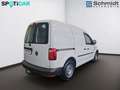 Volkswagen Caddy Kastenwagen Entry 2,0 TDI Weiß - thumbnail 4