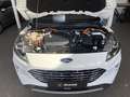 Ford Kuga 2.5 Duratec Plug-in-Hybrid PHEV Titanium LED Blanc - thumbnail 16