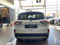 Ford Kuga 2.5 Duratec Plug-in-Hybrid PHEV Titanium LED Blanc - thumbnail 6
