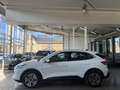 Ford Kuga 2.5 Duratec Plug-in-Hybrid PHEV Titanium LED Blanc - thumbnail 8