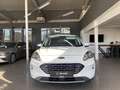 Ford Kuga 2.5 Duratec Plug-in-Hybrid PHEV Titanium LED Blanc - thumbnail 2