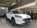 Ford Kuga 2.5 Duratec Plug-in-Hybrid PHEV Titanium LED Blanc - thumbnail 3