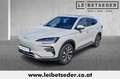 BYD Seal U Design Österreich Paket 87 kWh Beige - thumbnail 1