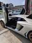 Lamborghini Aventador SV Fehér - thumbnail 5