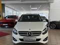 Mercedes-Benz B 250 4M*NAVi MAP*KAMERA*LED*MEMORY*ToTW*PDC* Weiß - thumbnail 5