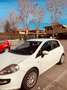 Fiat Punto Evo 1.4 GPL Automatica Blanc - thumbnail 2