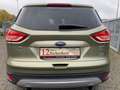 Ford Kuga Titanium Alu 19"-Leder-Pano-AHK-ZR/Oel/Tüv neu Silber - thumbnail 5