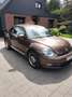 Volkswagen Beetle 1.2 TSI Brun - thumbnail 1