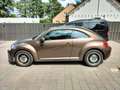 Volkswagen Beetle 1.2 TSI Brun - thumbnail 3