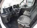 Ford Transit Kasten 2.0 TDCi 350 L3 Trend PDC RFK Weiß - thumbnail 7