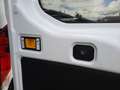 Ford Transit Kasten 2.0 TDCi 350 L3 Trend PDC RFK Weiß - thumbnail 12