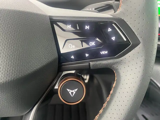 Cupra Tavascan view 15
