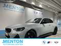 BMW 240 M240i xDrive Sportpaket HK HiFi DAB LED RFK Shz Gris - thumbnail 1
