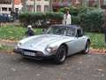 TVR Sonstige 3000 M Grau - thumbnail 1
