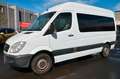 Mercedes-Benz Sprinter 315cdi*9 SITZE*Navi*Klima*AHK*H+L*TOP Белый - thumbnail 2