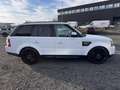 Land Rover Range Rover Sport SDV6 HSE AHK LEDER NAVI RFKA Weiß - thumbnail 4