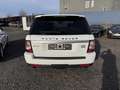 Land Rover Range Rover Sport SDV6 HSE AHK LEDER NAVI RFKA Weiß - thumbnail 6