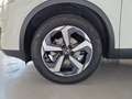 Nissan Qashqai NUEVO 5P DIG-T E6D 116 KW (158 CV) MHEV 12V XTR - thumbnail 13