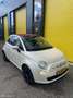 Fiat 500 Cabrio|1.2|PDC|Nw DB Riem|4 nwe banden Wit - thumbnail 2