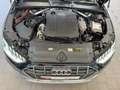 Audi A4 allroad 40 TDI qu. AHK Kamera LED Schwarz - thumbnail 19