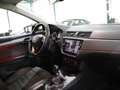SEAT Ibiza 1.0 TGI CNG FR-SPORT / LED / LEDER / ACC Grau - thumbnail 21