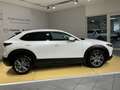 Mazda CX-30 EXCLUSIVE-LINE*Bose*Lenkradheizung* Weiß - thumbnail 3